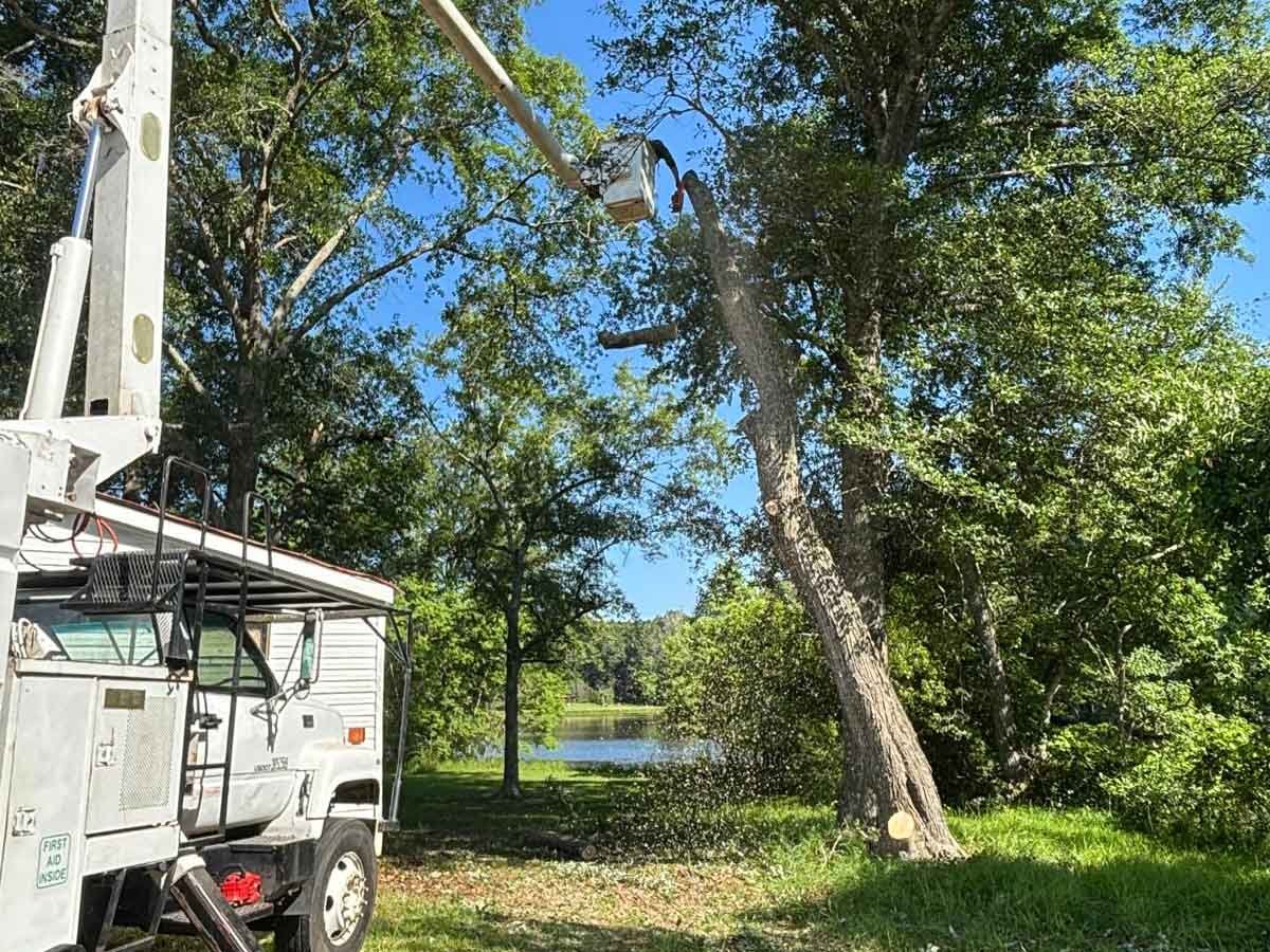 El Costeño Tree Service LLC